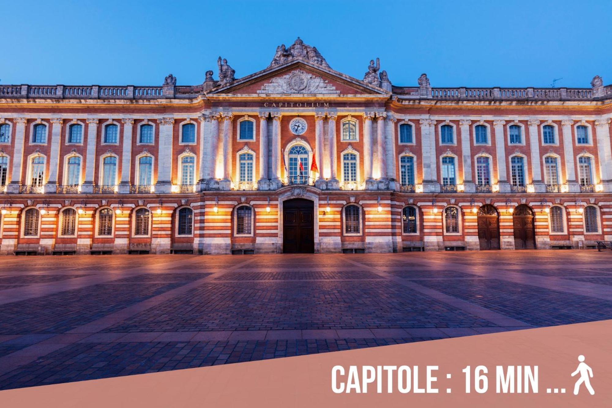 Chartreuse, Clim, Parking, Terrasse Au Calme Apartman Toulouse Kültér fotó